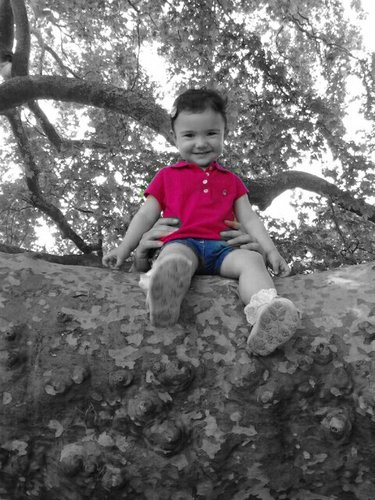 CNALTINOK's profile picture. 