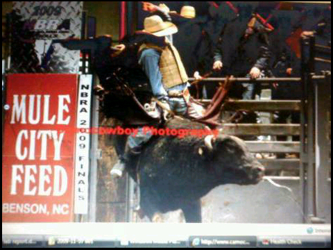 Bull rider