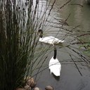 jean klinger - @jeanklinger - Twitter