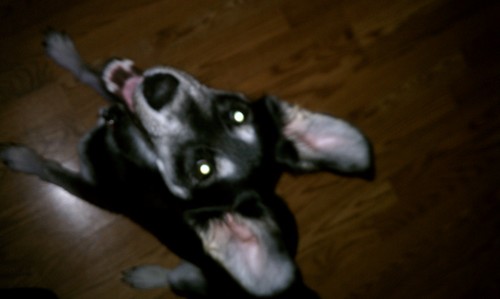 tfuler's profile picture. Chicago