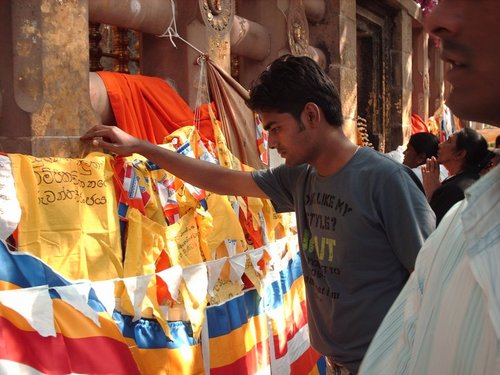 nameetnayan's profile picture. 