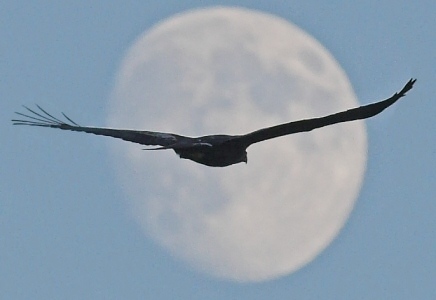 ArendvanderLee's profile picture. 😀