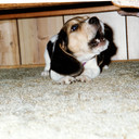 Wanda Meek - @WandaMeek - Twitter