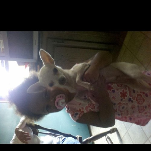 littleD95's profile picture. 