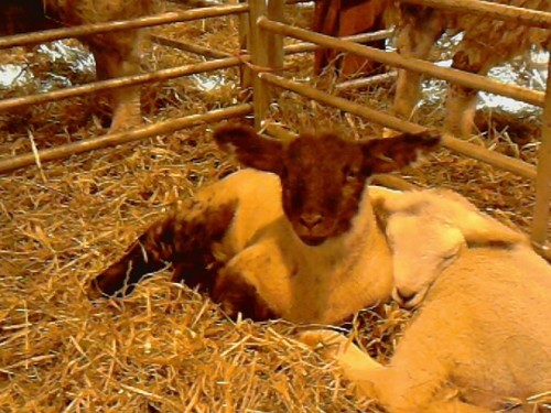 marytbb's profile picture. Yorkshire lass