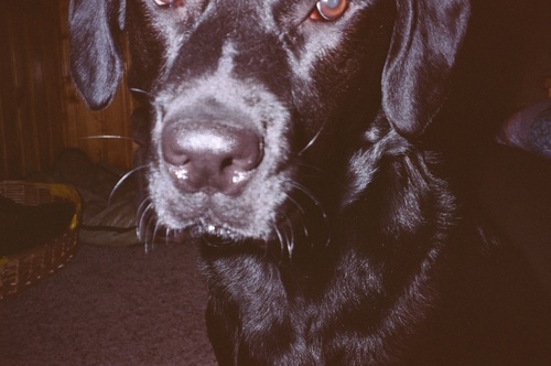 staycesnyder's profile picture. good times in middle 🇨🇦canada🇨🇦