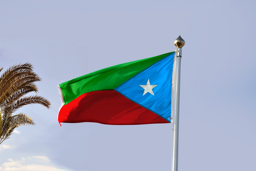 baloch201219's profile picture. 