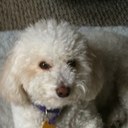 Sandra Britton - @SandraBritton5 - Twitter