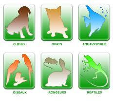 http://t.co/rUrfkhUpXW - #Animalerie, vente en ligne d'accessoires et d'articles pour #animaux, pour vos #oiseaux, votre #chien, #chat à prix discount.