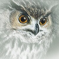 e-upis.lv (@upislv) 's Twitter Profile