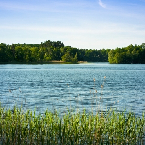 Family business servicing sewage treatment units, repairing septic tanks & maintaining reed beds -  #Sussex #Surrey #Kent #Hants UK @TheoPaphitis #SBS 21/07/13