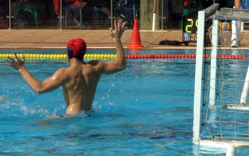joseromcas's profile picture. Master en Rendimiento Deportivo. Licenciado en CCAFyD. Federación Andaluza de Natación