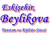 Eskişehir Beylikova İlçesi Haber Sitesi