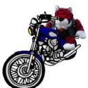 Katy Prince - @princepack - Twitter