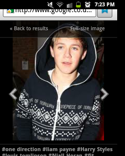@onedirection and tom daley! is my life that bascilly all you need to know :L i follow back!