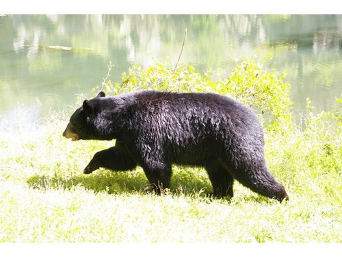 GlennDoten's profile picture. 