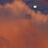 PadreIslandMoon's profile image