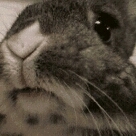 xggran's profile picture. 안녕하세요 어렵지만 스마트한 세상에 발을 들여놓았네요 마니들 도와주시고 마니들 팔로윙 해주세요