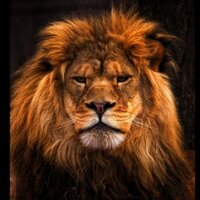 Yancy (@yancyltsb) 's Twitter Profile