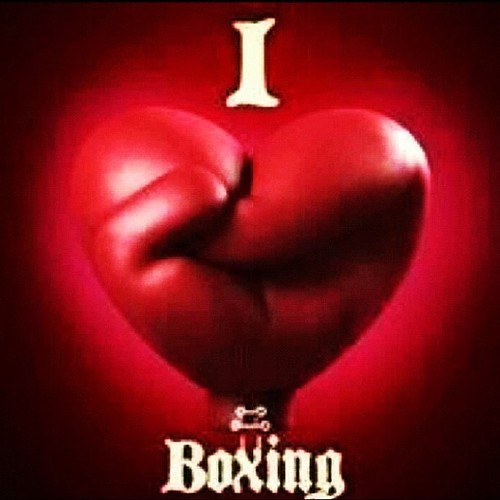 Boxing fans follow