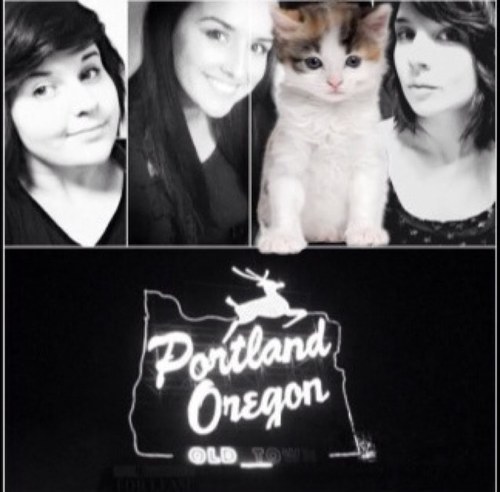 WeMovePDX's profile picture. Four friends saving to move to Portland, OR in September 2012 @calbarwick @spookyvegan @sarahbrygidyr