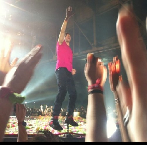 booglepip's profile picture. 