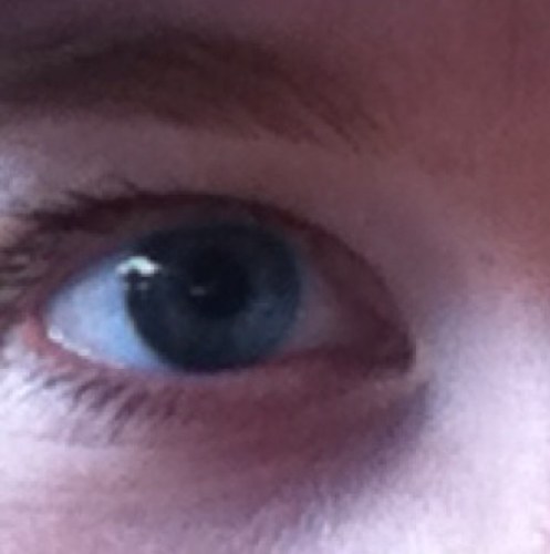 christywitt's profile picture. 