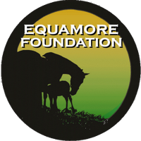 Equamore Foundaton (@equamore) 's Twitter Profile