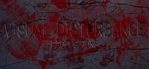 VisualDisturbed's profile picture. 