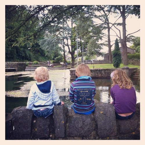 rossf155's profile picture. 