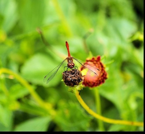 HatsOffToo's profile picture. 