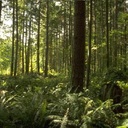 Everly Green - @GreenEverly - Twitter