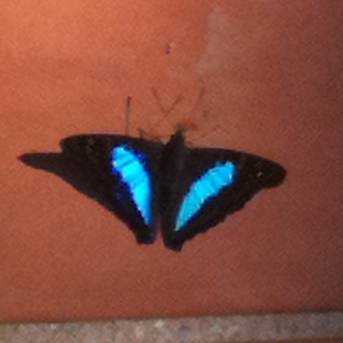 annina1812's profile picture. 