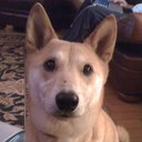 elaine  epstein - @emve812 - Twitter