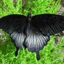 Carla Wallace - @MzCarlaWallace - Twitter