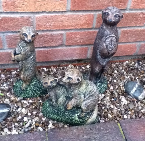 guests_house's profile picture. 