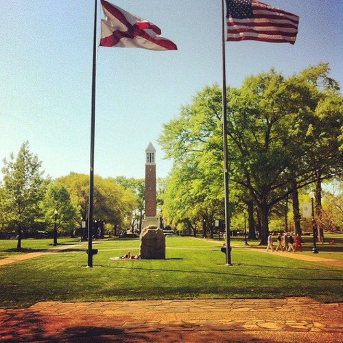 thtolleson's profile picture. 