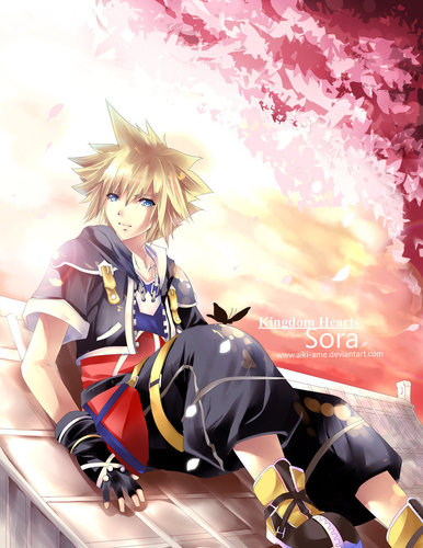 Names Sora but Im Female. Chosen wielder of the Keyblade. I try to stay on Destiny Islands with Riku & Kairi. But, sometimes I've got to save the world.