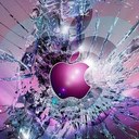 Hailey Burroughs - @WildcatCheer034 - Twitter