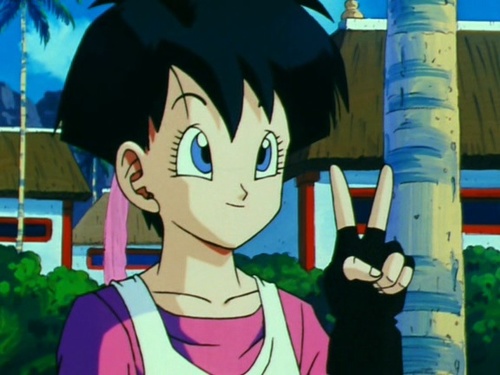 Im Videl. boyfriend: @SonxGohan