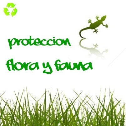 Protección de la Flora y la Fauna!
http://t.co/EFEfPOj1H4