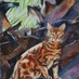 Debbie Childress (@bengalcatz) Twitter profile photo