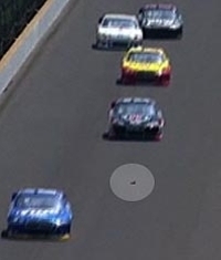 NASCAR fan and hater of phantom debris on the track. Will have fun trivia and hopefully some NASCAR driver followers 
NASCAR Fan Council Member