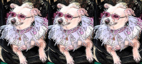 EyewearFanatic's profile picture. The Fabulous World of Eyewear