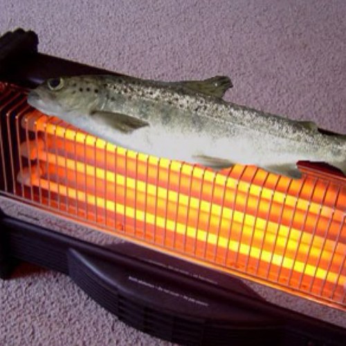 stickz69's profile picture. 