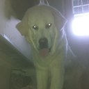 Brad holliday - @co_brad - Twitter