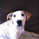 Rob McConnell - @AhNiceMarmot - Twitter