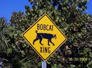 Flemingsburger1's profile picture. Married.  Retired. Grandmother. Displaced Southerner