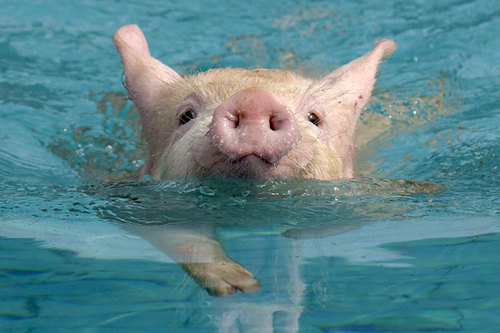 19pepon's profile picture. 