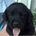 Brandon Vernon - @brandonvern - Twitter